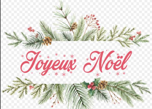 Le père Noël à l'Institut St Ange